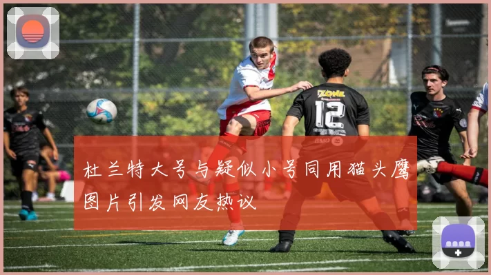 杜兰特大号与疑似小号同用猫头鹰图片引发网友热议