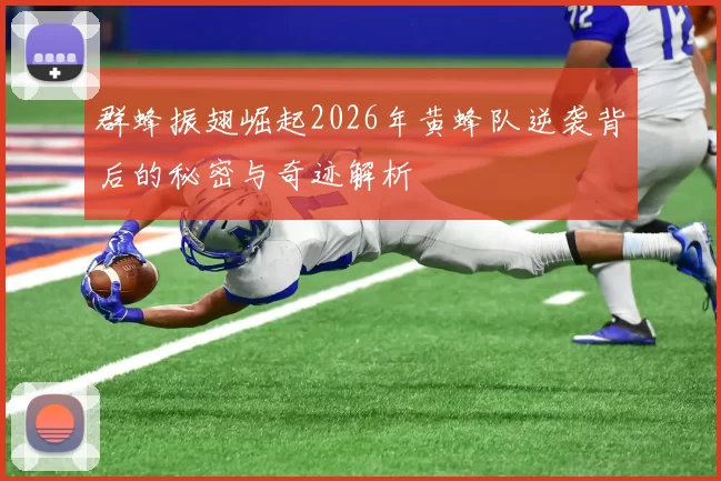群蜂振翅崛起2026年黄蜂队逆袭背后的秘密与奇迹解析
