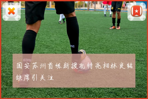 国安苏州首练新援孔特亮相林良铭缺席引关注